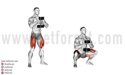 quad exercises with dumbbells