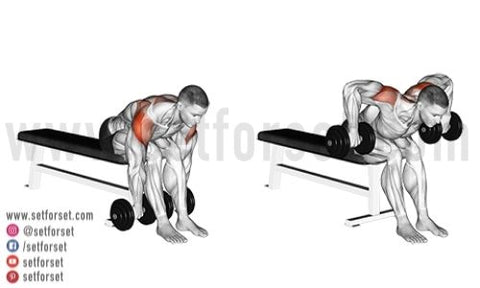 rear delt bodyweight exercises