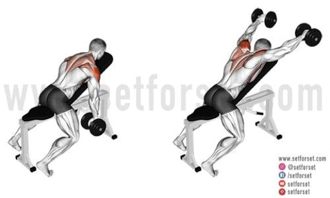 rear delt exercises