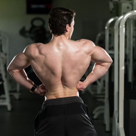 rear lat spread