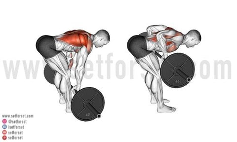 rows for mid back