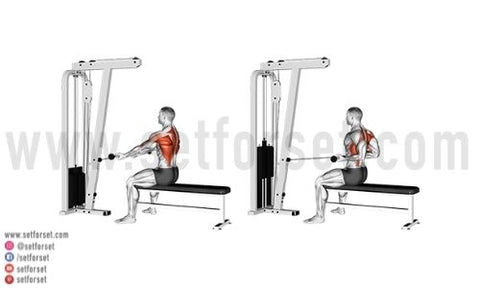 seated lat exercises