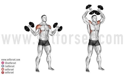 side delt workout