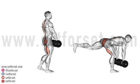 single leg hamstring exercises