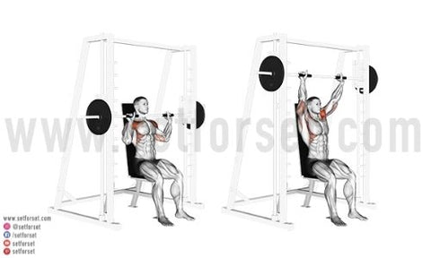 smith machine front delt exercises