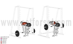 smith machine lats