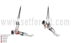 suspension trainer lats