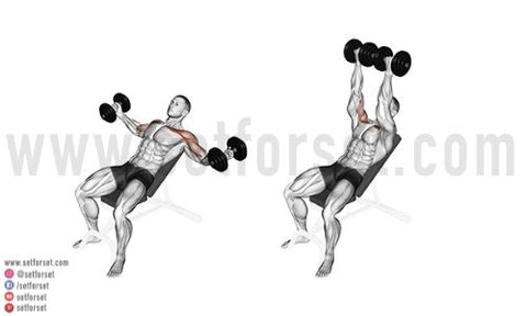 top chest exercises