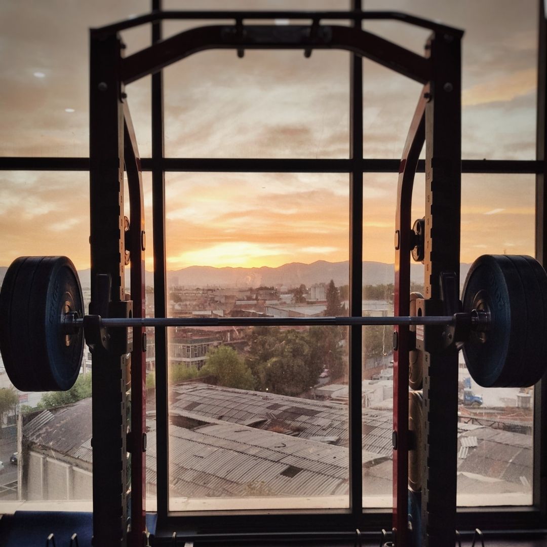 best squat racks