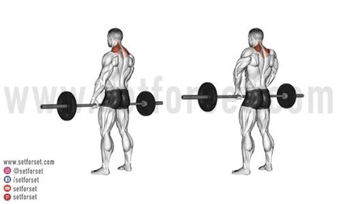 upper back barbell exercises