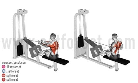 upper back cable machine exercises