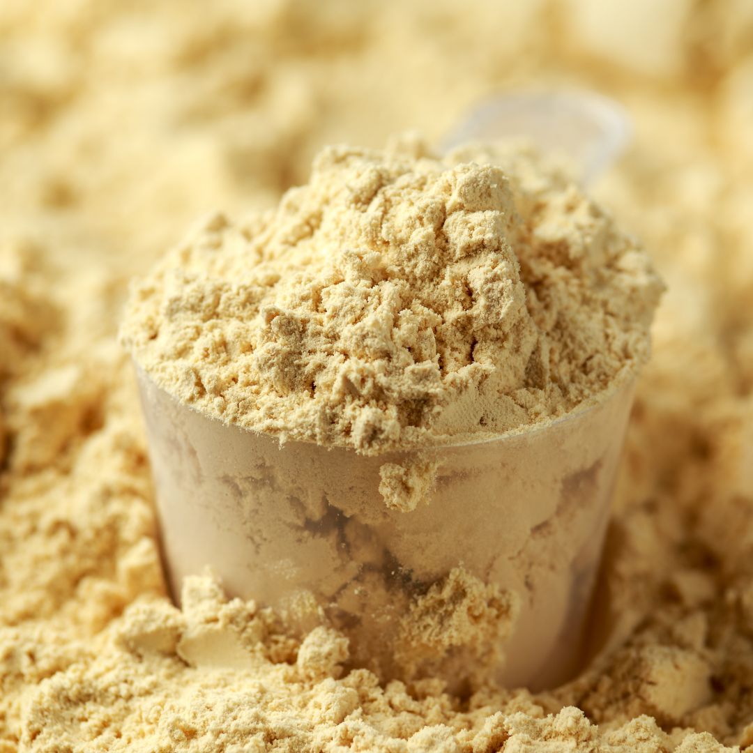 vegan protein powder best