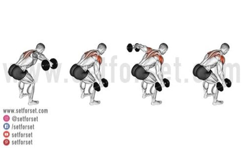 what is the best rear delt exercise