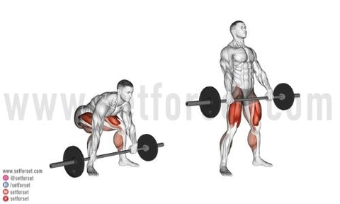 wide grip for upper back