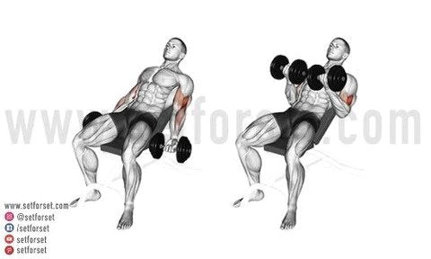 incline dumbbell curl