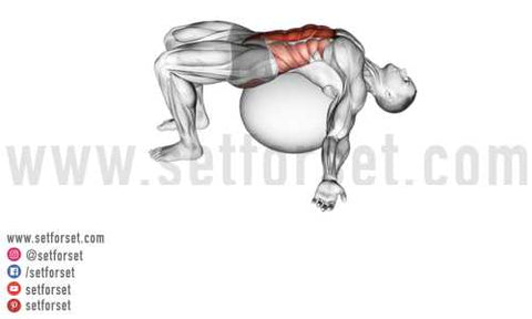 workout for rectus abdominis