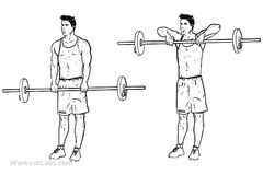 what are the best exercises for upper traps