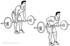 middle trap exercises