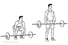 top traps exercises