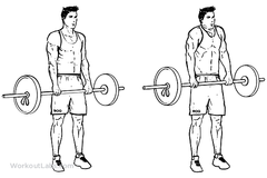 upper trap exercises